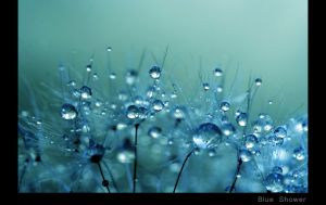 Blue Shower.jpg